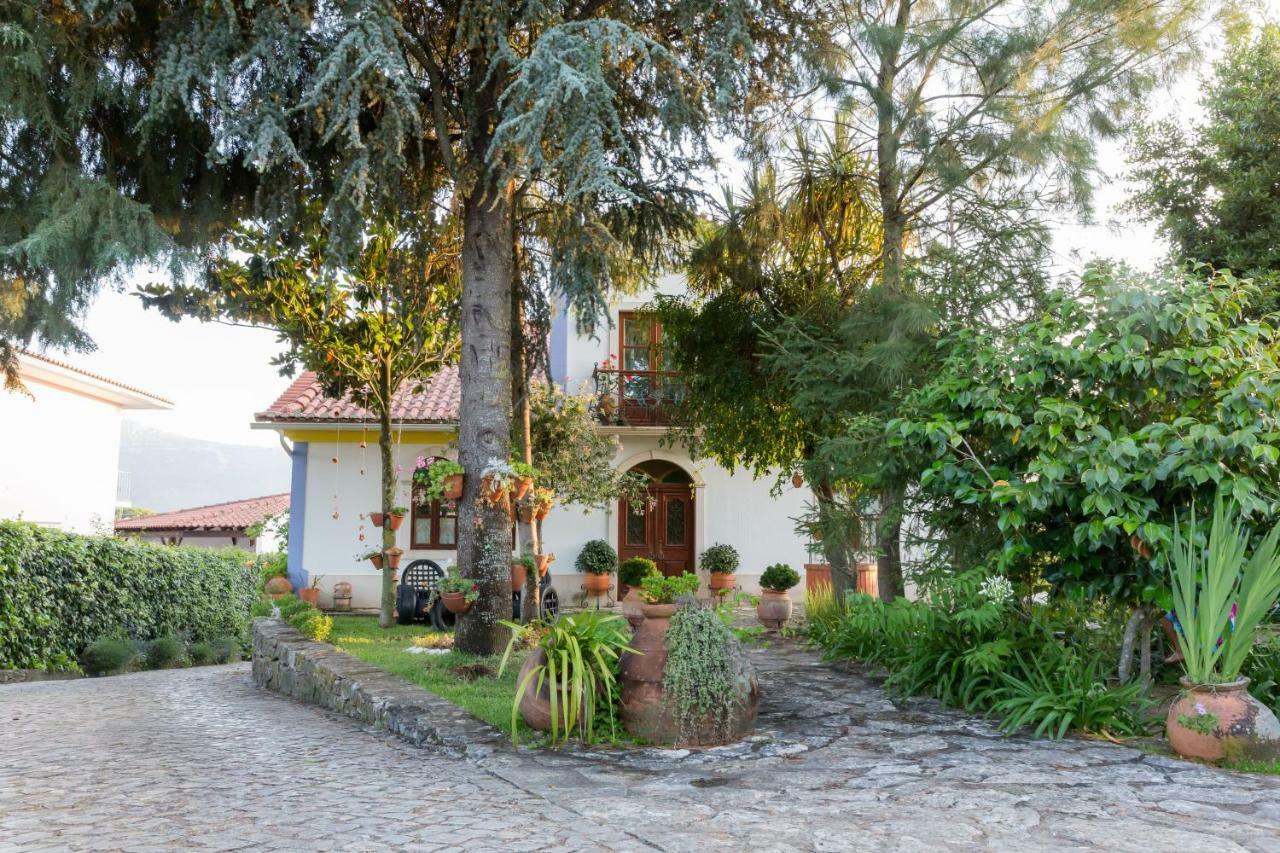 Hotel Casal Dos 5 Minde Exteriér fotografie